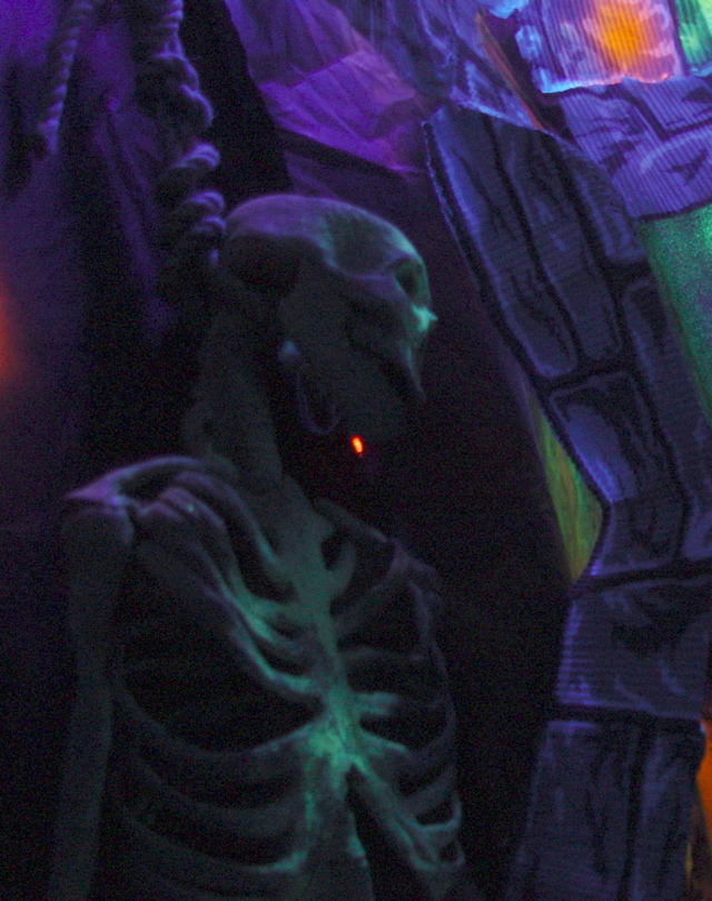 HauntedCatacombsSkeleton