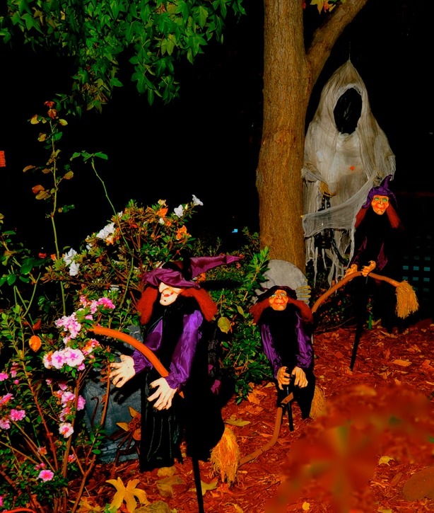 dsc_9355ebgg-halloween-2_med